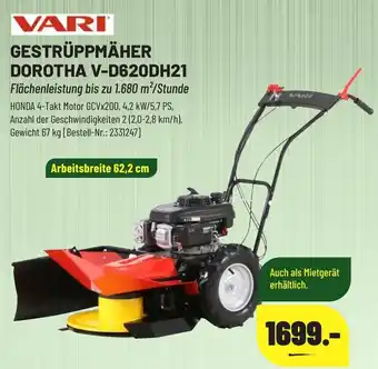 Leitermann Baumarkt VARI GESTRÜPPMÄHER DOROTHA V-D620DH21 Angebot