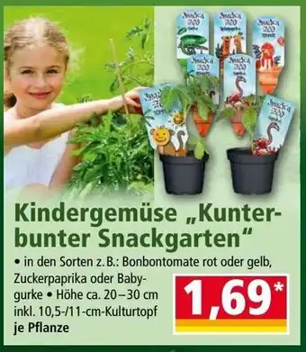 Norma Kindergemüse ,,Kunterbunter Snackgarten" Angebot