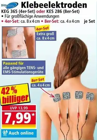 Norma Dittman Klebeelektroden Angebot