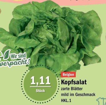 Aktiv Irma Kopfsalat Angebot