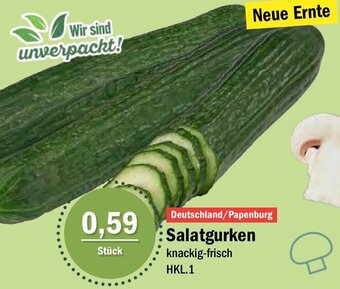 Aktiv Irma Salatgurken Angebot