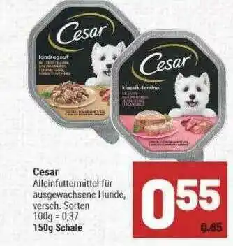 Marktkauf Cesar Alleinfuttermittel Angebot