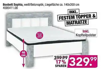 Möbel Boss Boxbett Sophia Angebot