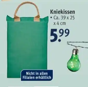 Rossmann Kniekissen Angebot