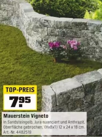 OBI Mauerstein Vigneto Angebot