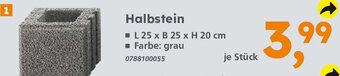 Globus Baumarkt Halbstein Angebot