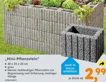 Globus Baumarkt ,,Mini-Pflanzstein" Angebot