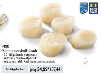 METRO MSC Kammmuschelfleisch Angebot