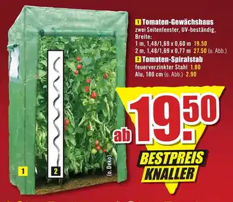 B1 Discount Baumarkt Tomaten-Gewächshaus Angebot