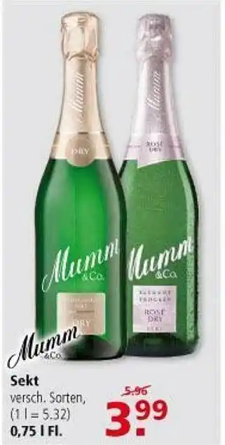 Multi Markt Mumm Sekt Angebot