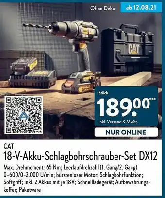 Aldi Nord Cat 18-v-akku-schlagbohrschrauber-set Dx12 Angebot