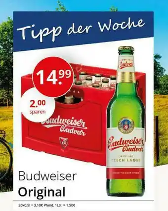 Sagasser Budweiser Original Angebot