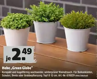 Hagebau Hebe Green Globe Angebot