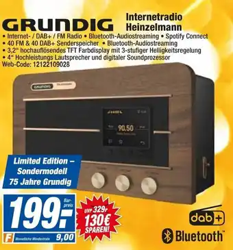 HEM Expert Grundig Internetradio Heinzelmann Angebot