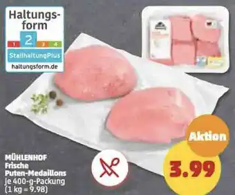 PENNY MÜHLENHOF Frische Puten-Medaillons 400-g-Packung Angebot