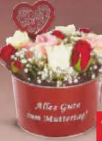 Netto Marken-Discount Blumen in geschenkbox Angebot