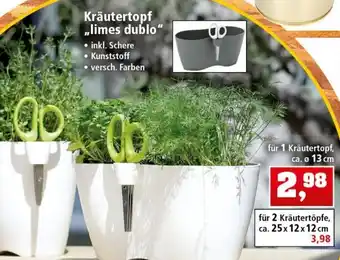 Thomas Philipps Kräutertopf ,,limes dublo" Angebot