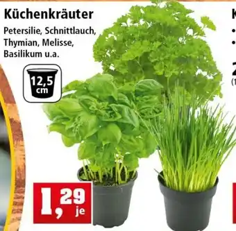 Thomas Philipps Küchenkräuter Angebot