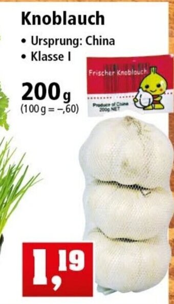 Thomas Philipps Knoblauch 200g Angebot