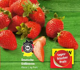 Lidl Deutsche Erdbeeren Angebot