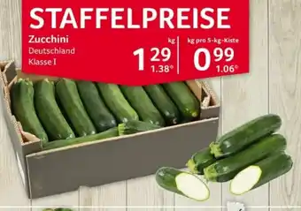 Selgros Zucchini Angebot