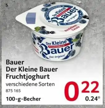 Selgros Bauer Der Kleine Bauer Fruchtjoghurt 100g Becher Angebot