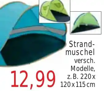 Wiglo Wunderland Strandmuschel Angebot