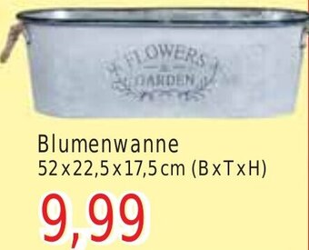 Wiglo Wunderland Blumenwanne Angebot
