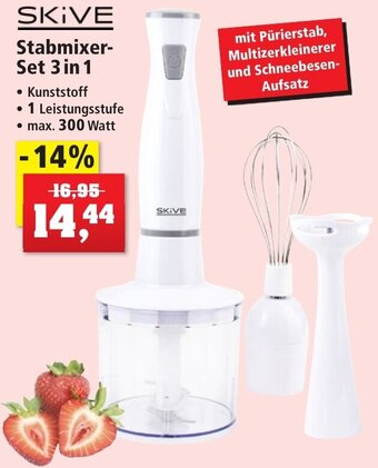 Thomas Philipps SKIVE Stabmixer-Set 3 in 1 Angebot