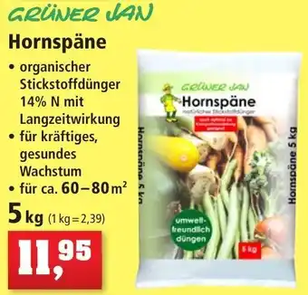 Thomas Philipps GRÜNER JAN Hornspäne 5 kg Angebot