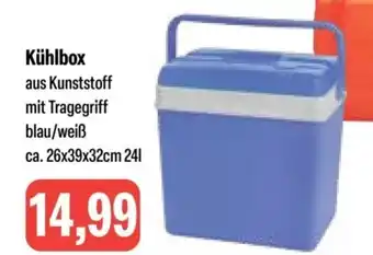 Feneberg Kühlbox aus Kunststoff mit Tragegriff blau/weiß ca. 26x39x32cm 24L Angebot