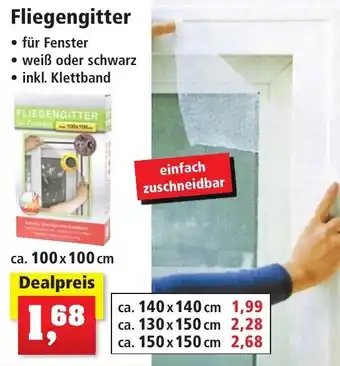 Thomas Philipps Fliegengitter ca. 100 x 100 cm Angebot