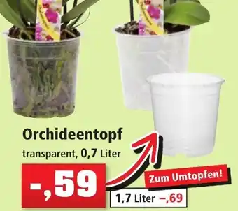 Thomas Philipps Orchideentopf transparent, 0,7 Liter Angebot