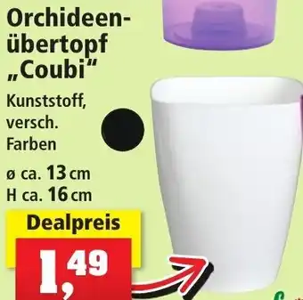 Thomas Philipps Orchideen-übertopf ,,Coubi" Angebot