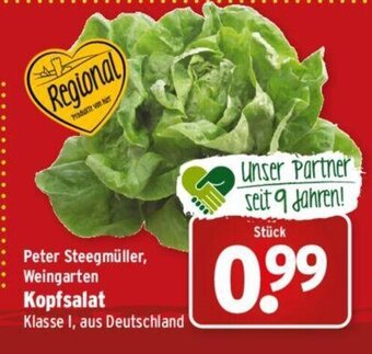 Wasgau Kopfsalat Angebot