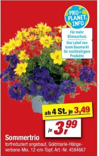 toom Baumarkt Sommertrio Angebot