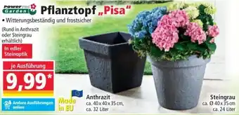 Norma Pflanztopf,,Pisa" Angebot