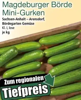 Norma Magdeburger Börde Mini-Gurken Angebot