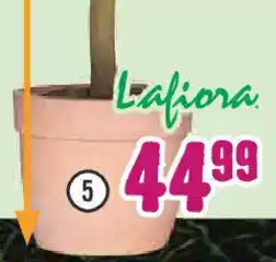 Hornbach Lafiora passender Pflanztopf „Big Pot" Angebot