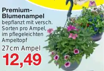 Jawoll Premium-Blumenampel 27 cm Ampel Angebot