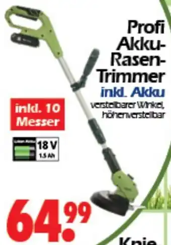 Wreesmann Profi Akku-Rasen- Trimmer inkl. Akku Angebot