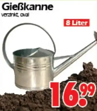 Wreesmann Gießkanne 8 Liter Angebot