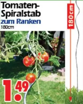 Wreesmann Tomaten-Spiralstab zum Ranken 180cm Angebot