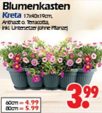 Wreesmann Blumenkasten Kreta Angebot