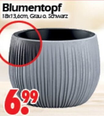Wreesmann Blumentopf Angebot