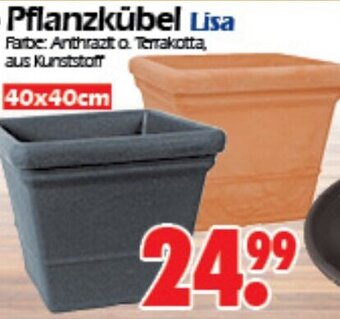 Wreesmann Pflanzkübel Lisa 40x40cm Angebot