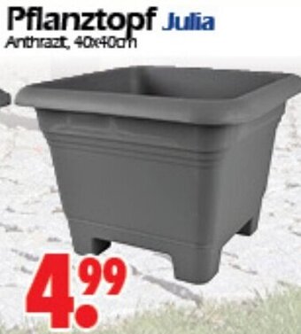 Wreesmann Pflanztopf Julia Angebot