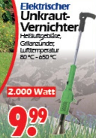 Wreesmann Elektrischer Unkraut-Vernichter 2.000 Watt Angebot