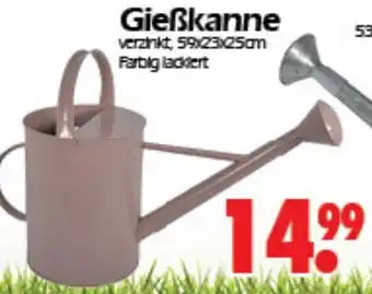 Wreesmann Gießkanne Angebot