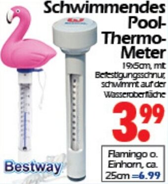 Wreesmann Bestway Schwimmendes Pool Thermometer Angebot